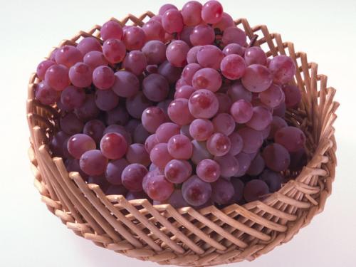 mSҸVңŮB(yng)@4Nrˮ